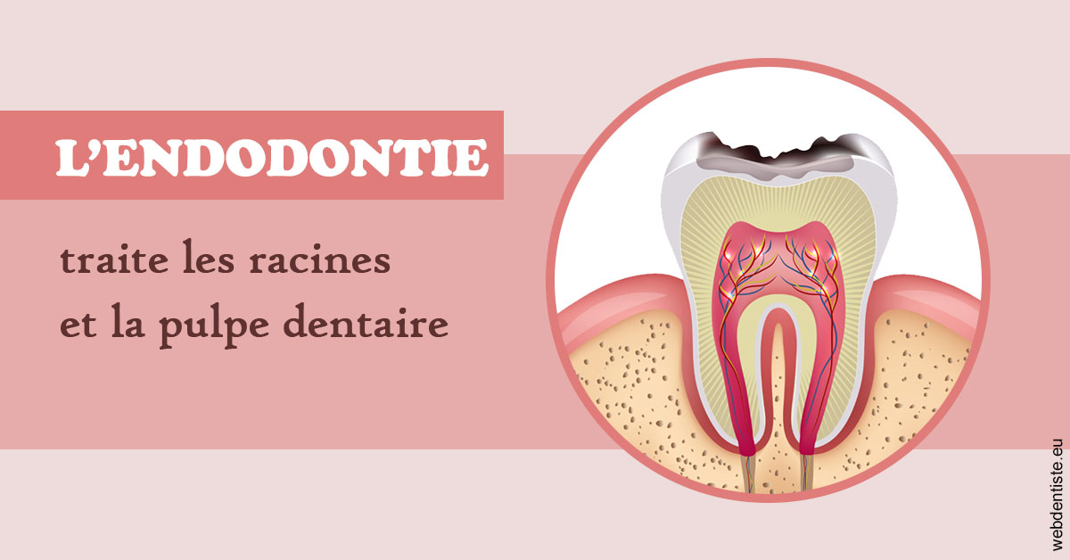 https://selarl-pascale-bonnefont.chirurgiens-dentistes.fr/L'endodontie 2